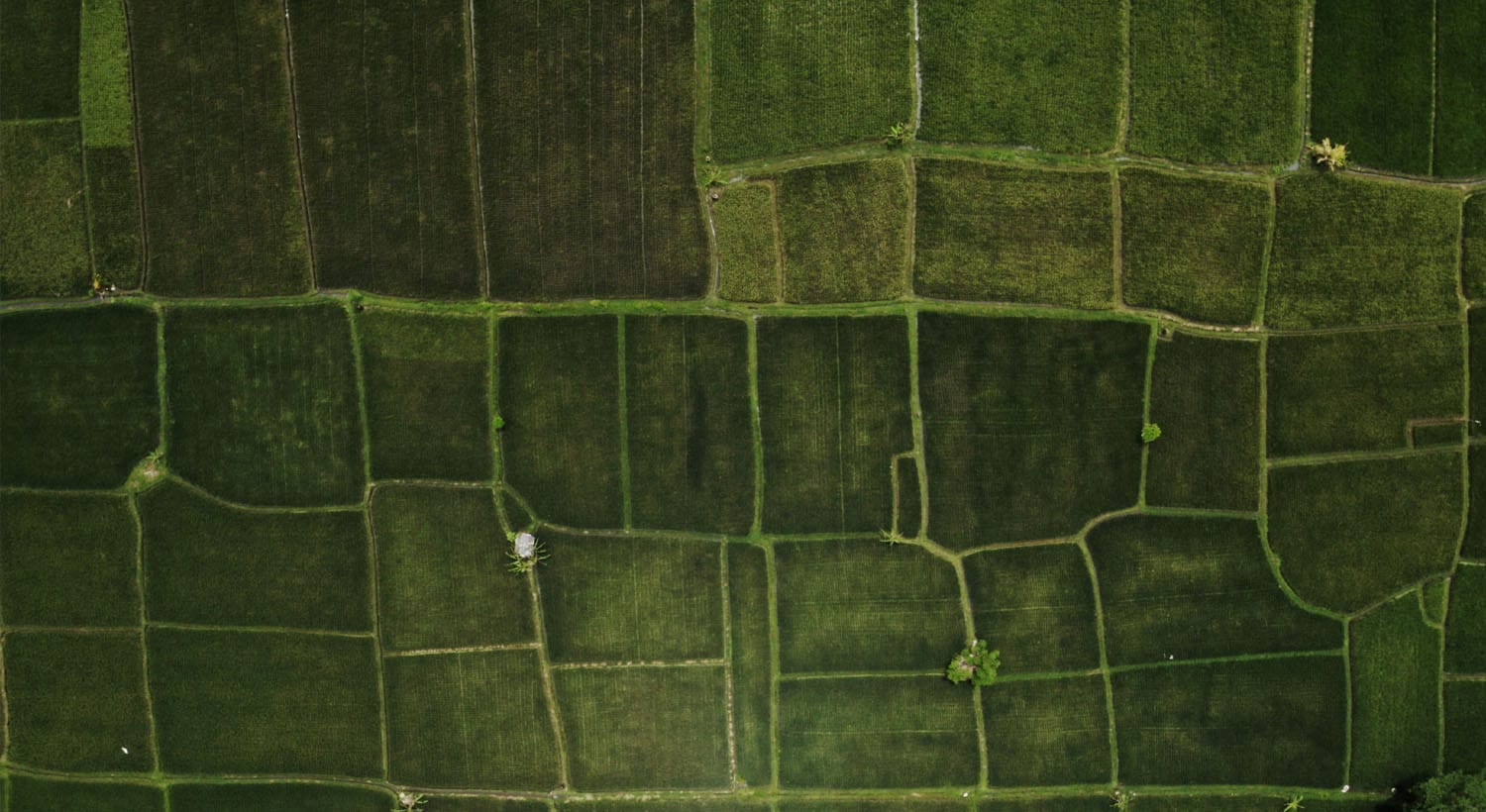 GET LOST IN NATURE